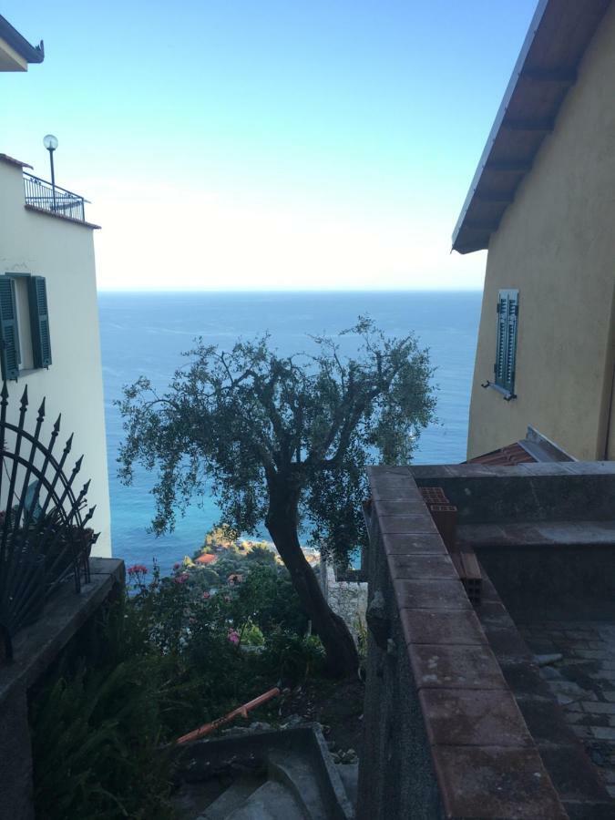 House In Grimaldi. Spectacular View Over The French Riviera! Grimaldi  Exterior photo